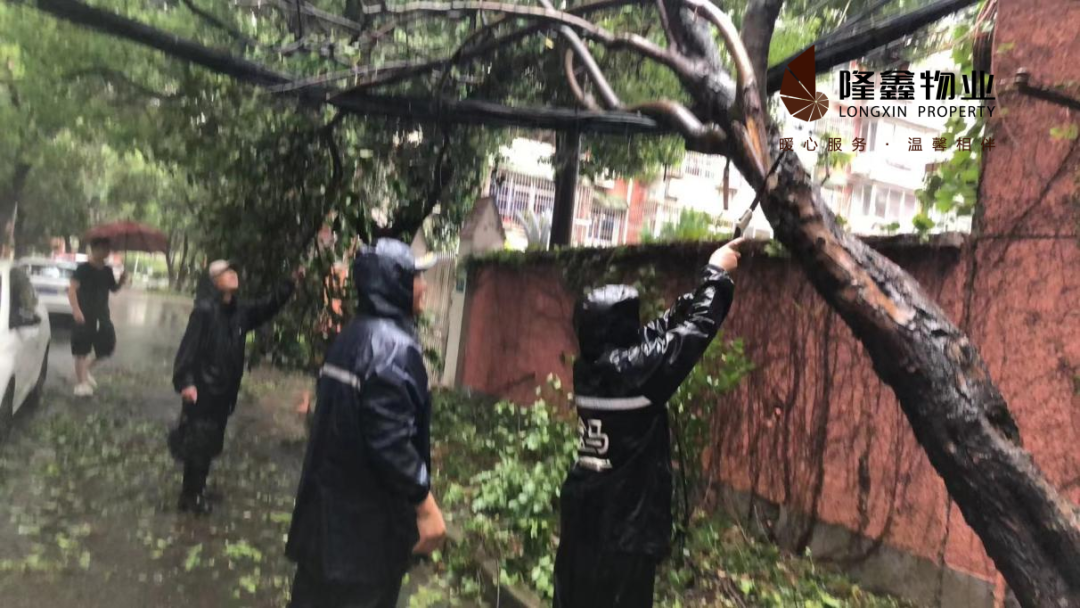 隆鑫2.png