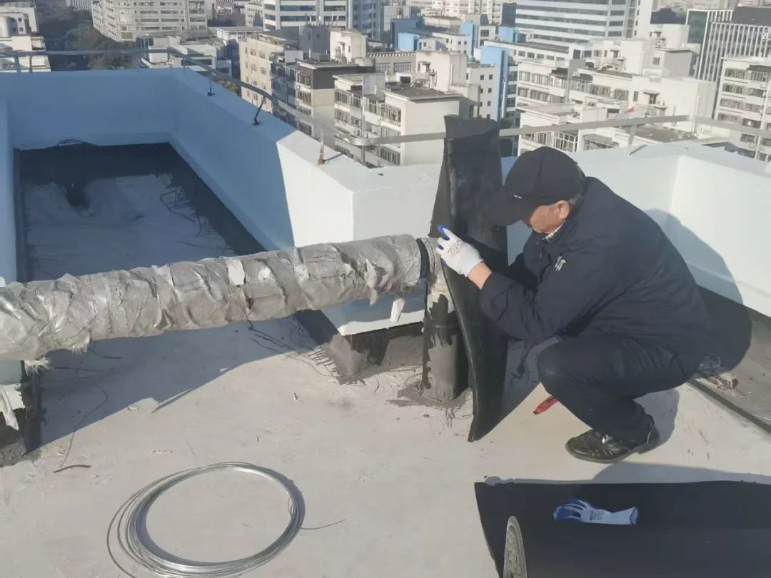 1738910640485028.jpg 3.jpg