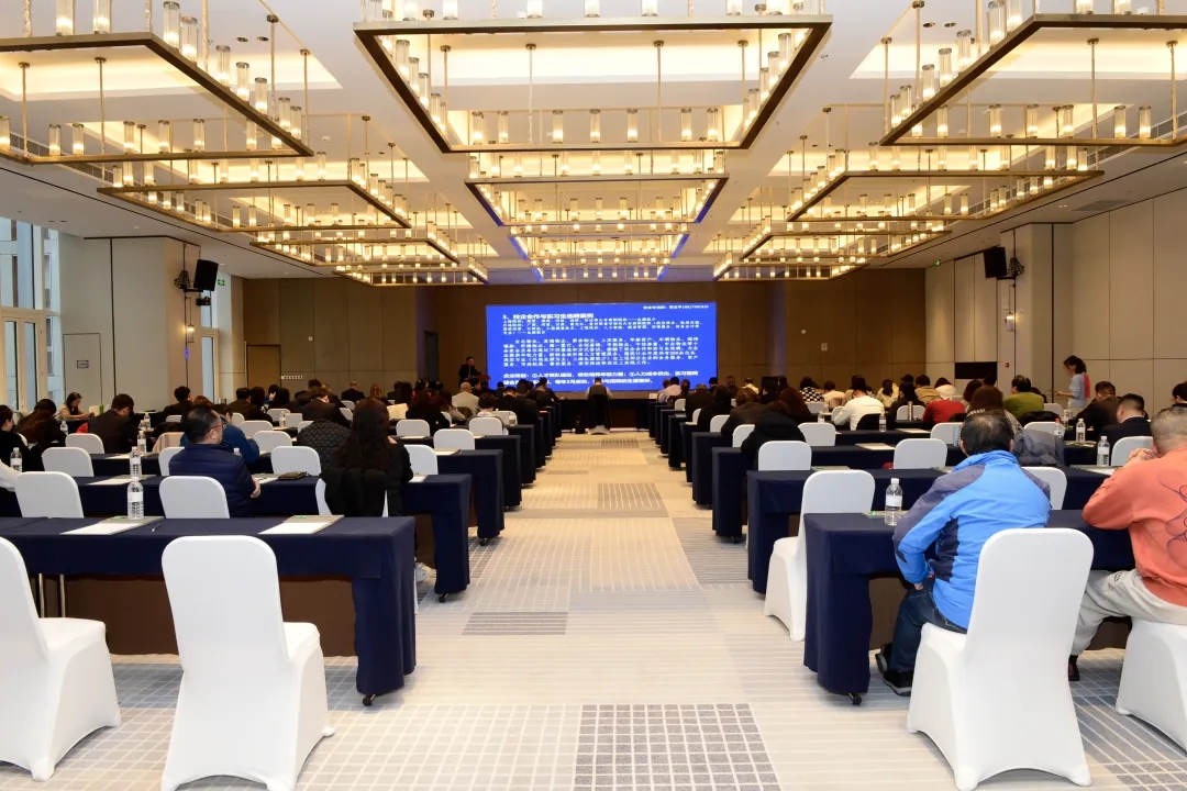 杨浦4.webp.jpg