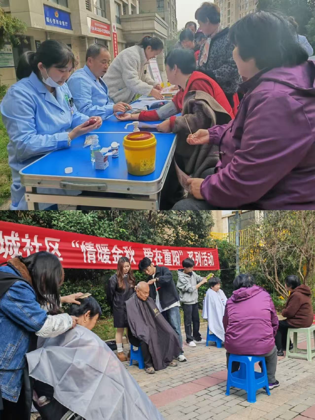 1762154324904754.jpg 22.jpg