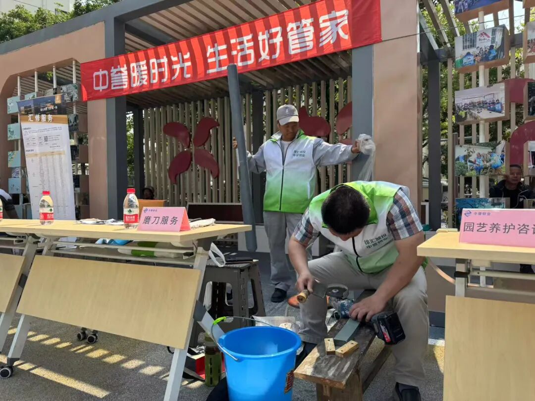 1765177319415882.jpg 3.jpg