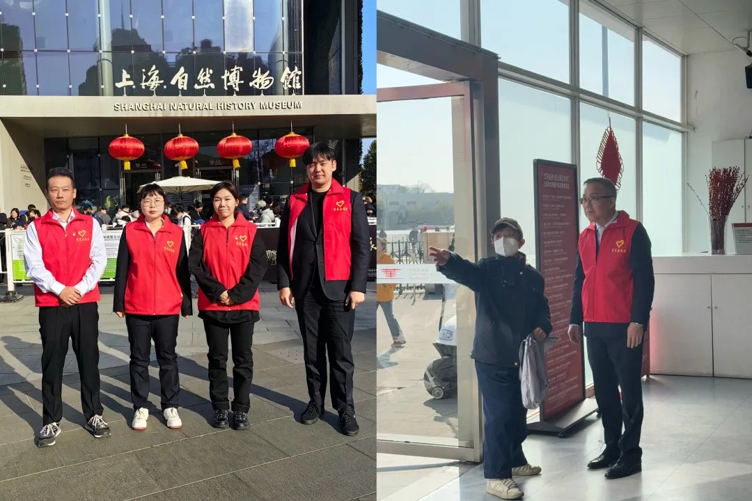 1772293272687674.jpg 7.jpg