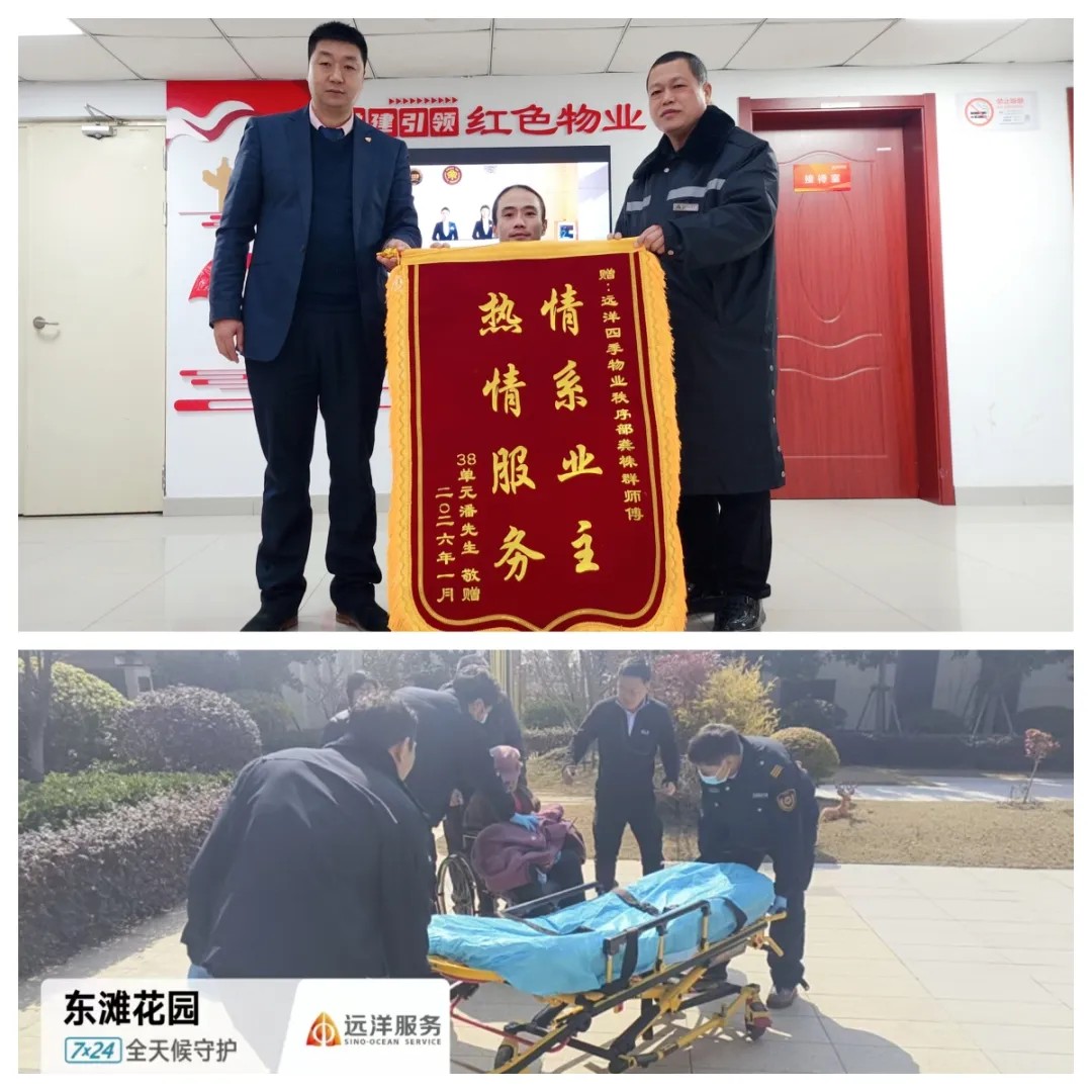 1772293305293045.jpg 8.jpg